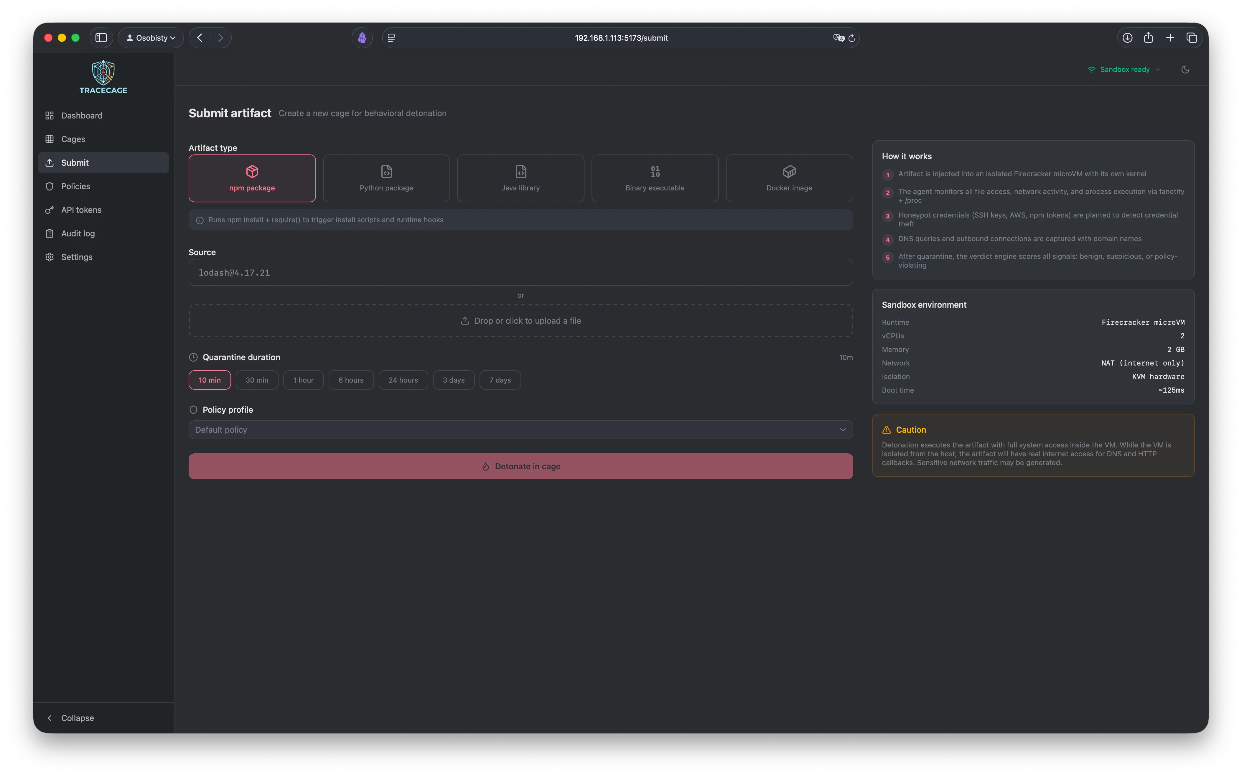Submit artifact for detonation
